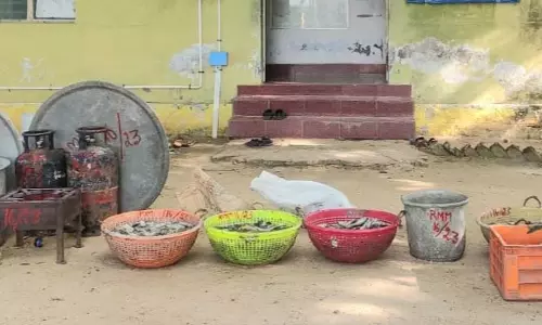 220 கிலோ கடல் அட்டை பறிமுதல்; 4 பேர் கைது