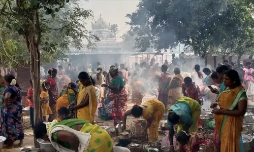 பகவதி அம்மன் கோவிலில் வைகாசி திருவிழா