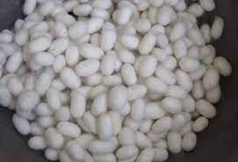 தர்மபுரி ஏல அங்காடியில்பட்டுக்கூடு விலை அதிகரிப்பு