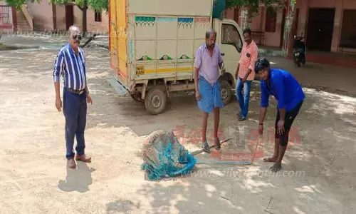 சாலையில் சுற்றித்திரிந்த 20 நாய்கள் பிடிக்கப்பட்டது சாலையில் சுற்றித்திரிந்த 20 நாய்கள் பிடிக்கப்பட்டது