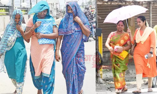 ஈரோட்டில் தொடரும் வெப்பம்:அக்னி நட்சத்திரம் விடை பெற்ற பிறகும் கொளுத்தும் வெயில் ஈரோட்டில் தொடரும் வெப்பம்:அக்னி நட்சத்திரம் விடை பெற்ற பிறகும் கொளுத்தும் வெயில்