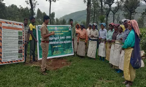 வால்பாறையில் மனித-வனவிலங்குகள் மோதல் தடுப்பு குறித்து விழிப்புணர்வு