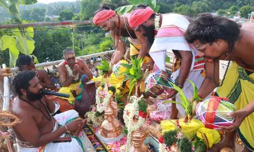 கிணத்துக்கடவு அருகே மாகாளி அம்மன் கோவில் கும்பாபிஷேகம்-திரளான பக்தர்கள் தரிசனம்