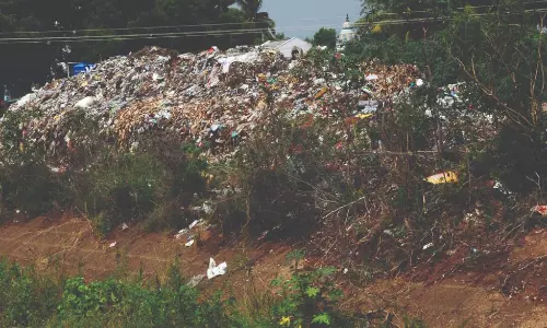 அமராவதி பிரதான வாய்க்கால் கரையில் லாரிகளில் கொட்டப்படும் குப்பைகள்