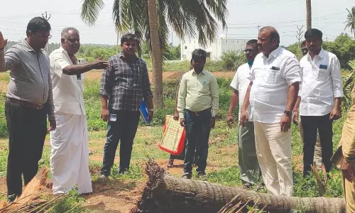 சேதமடைந்த பயிர்கள் குறித்து ஆர்.டி.ஓ.ஆய்வு