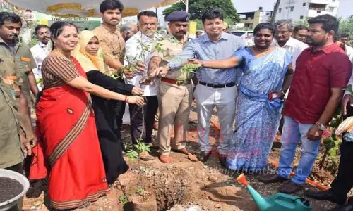 புல்லுக்காட்டில் மரக்கன்றுகள் நடவு