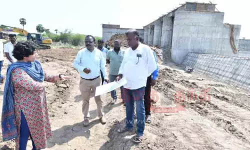 வைகை ஆற்றின் குறுக்கே  அணை கட்டும் பணியை கலெக்டர் ஆய்வு