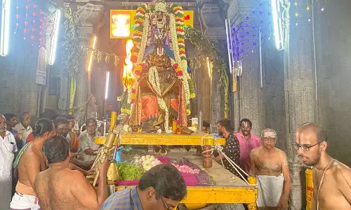 உலகளந்த பெருமாள் கோவிலில் வசந்த உற்சவம்