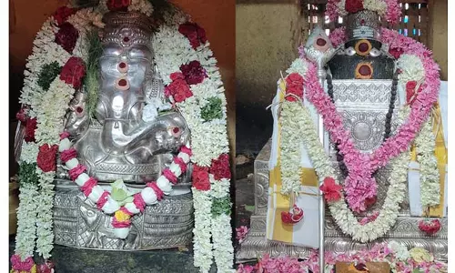 விருத்தாசலம் கொளஞ்சியப்பர் கோவிலில் வைகாசி விசாக வழிபாடு