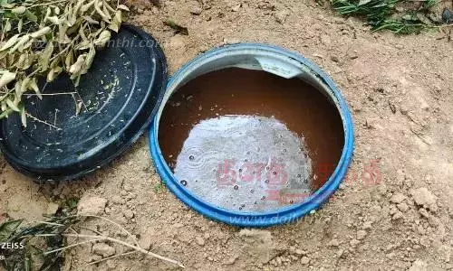 அரூர் அருகே 450 லிட்டர் சாராய ஊறல் அழிப்பு