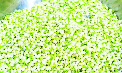 வைகாசி விசாகத்தையொட்டி தோவாளை மார்க்கெட்டில் பூக்கள் விலை உயர்வு - பிச்சி கிலோ ரூ.1,500-க்கு விற்பனை