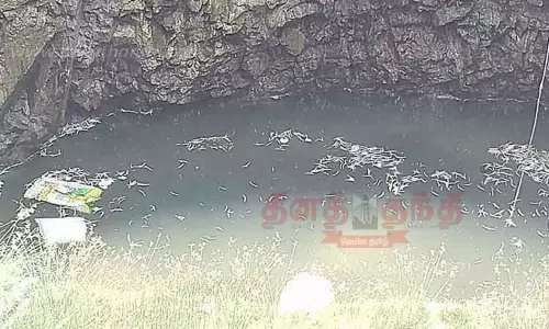 கோழி கழிவுகளை கிணற்றில் வீசிச்சென்ற மர்ம நபர்கள்