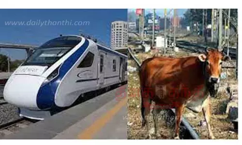 வந்தே பாரத் ரெயில் மோதி மாடு பலி