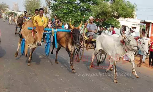 மாட்டு வண்டி பந்தயம்