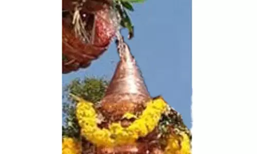 காளியம்மன் கோவில் கும்பாபிஷேகம்; நாளை நடக்கிறது