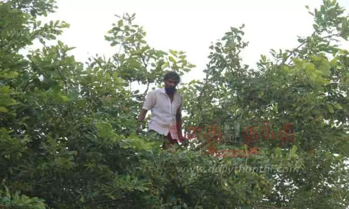 மரத்தில் ஏறி தற்கொலை மிரட்டல் விடுத்த வாலிபரால் பரபரப்பு