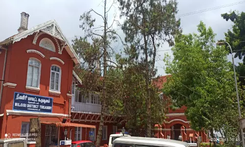 ஊட்டி கலெக்டர் அலுவலக வளாகத்தில் அந்நிய மரங்களை அகற்ற வேண்டும்-சுற்றுச்சூழல் ஆர்வலர்கள் வலியுறுத்தல்