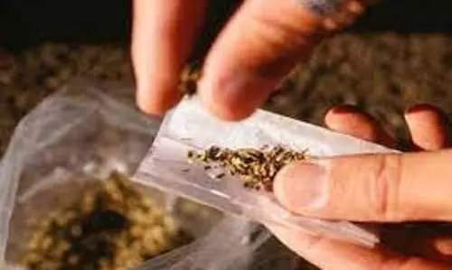 நீலகிரியில் போதைப் பொருள் பயன்பாட்டை தடுக்க வேண்டும்-பா.ஜனதா செயற்குழு கூட்டத்தில் தீர்மானம்