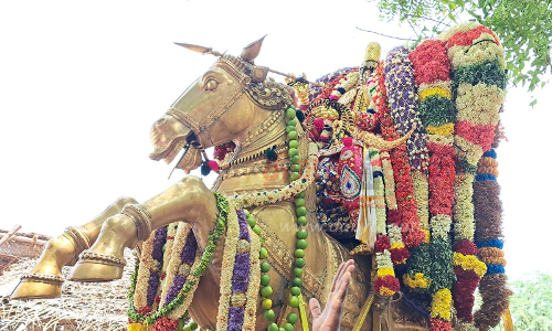 வரதராஜப்பெருமாள் கோவில் வைகாசி வசந்த உற்சவம்