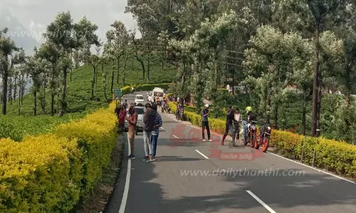 வால்பாறைக்கு சுற்றுலா பயணிகள் வருகை அதிகரிப்பு வால்பாறைக்கு சுற்றுலா பயணிகள் வருகை அதிகரிப்பு