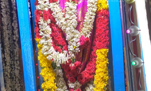 புனித அந்தோணியார் ஆலய தேர் பவனி