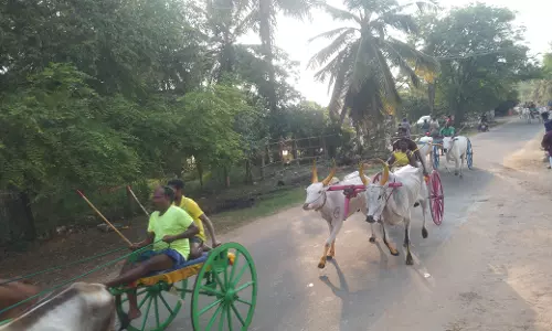 மாட்டு வண்டி எல்கை பந்தயம்