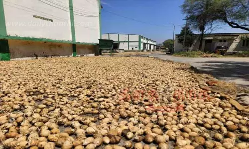 பாக்கு கொள்முதல் மையம் தொடங்க வேண்டும்