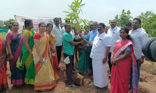 திருப்பத்தூர் மாவட்டத்தை தூய்மையாக வைத்துக்கொள்ள வேண்டும் திருப்பத்தூர் மாவட்டத்தை தூய்மையாக வைத்துக்கொள்ள வேண்டும்