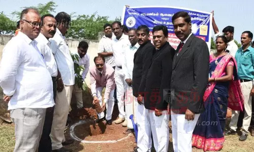 நெல்லை கோர்ட்டு வளாகத்தில் மரக்கன்றுகள் நடும் நிகழ்ச்சி