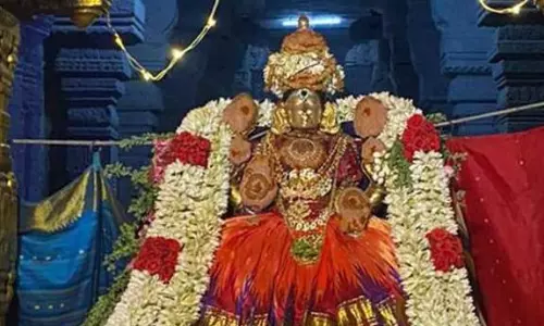 திருக்கோவிலூர் உலகளந்த பெருமாள் கோவிலில் பூச்சாற்று உற்சவம்