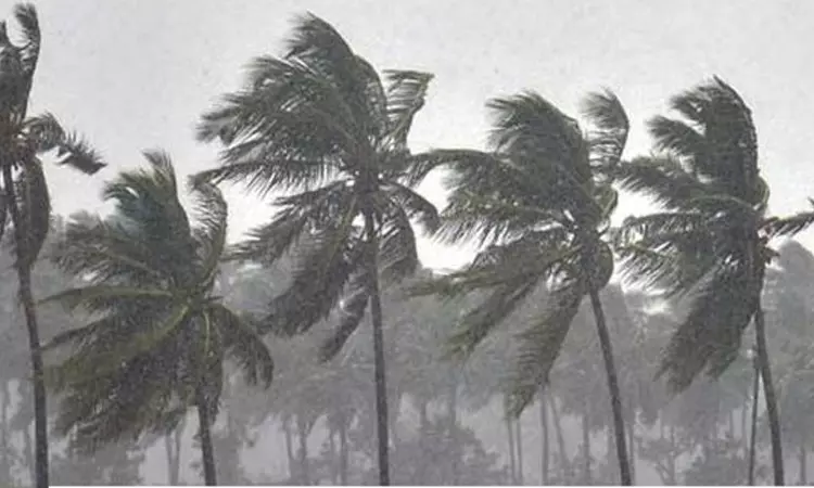அரபிக்கடலில் இன்னும் 6 மணி நேரத்தில் புயல் - இந்திய வானிலை ஆய்வு மையம் தகவல் அரபிக்கடலில் இன்னும் 6 மணி நேரத்தில் புயல் - இந்திய வானிலை ஆய்வு மையம் தகவல்