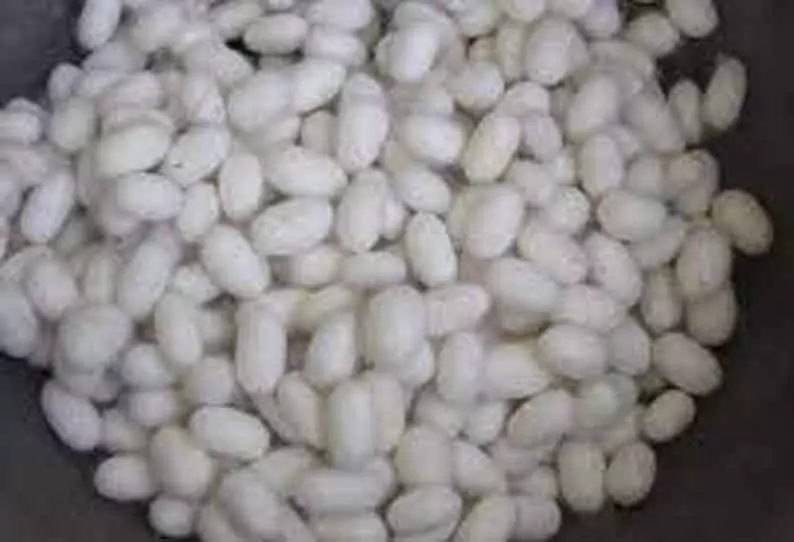 தர்மபுரி ஏல அங்காடியில் பட்டுக்கூடுகள் விலை அதிகரிப்பு