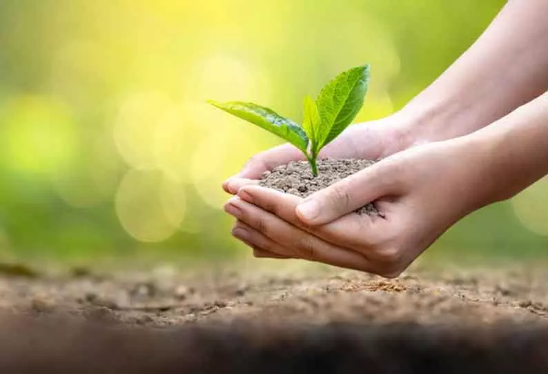 மரக்கன்றுகள் நடும் நிகழ்ச்சி மரக்கன்றுகள் நடும் நிகழ்ச்சி