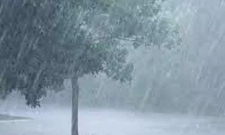 குமரியில் சாரல் மழை