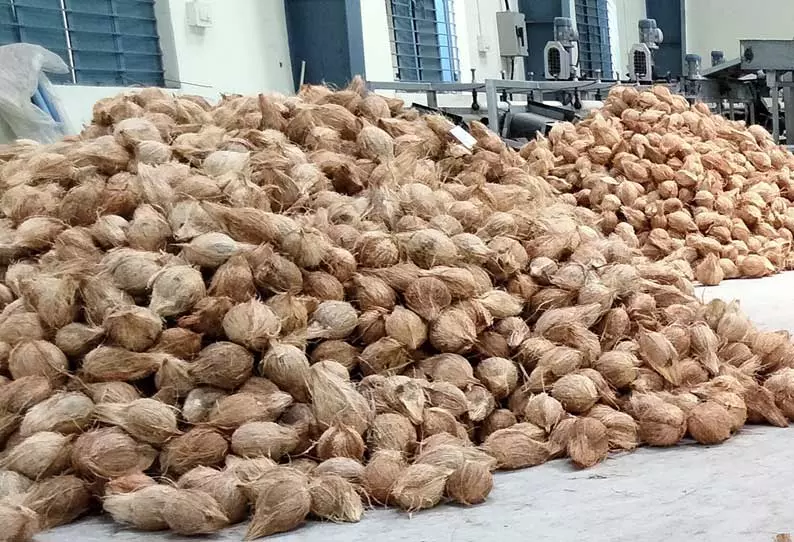 பரமத்திவேலூரில் ரூ.76 ஆயிரத்துக்கு தேங்காய் ஏலம் பரமத்திவேலூரில் ரூ.76 ஆயிரத்துக்கு தேங்காய் ஏலம்