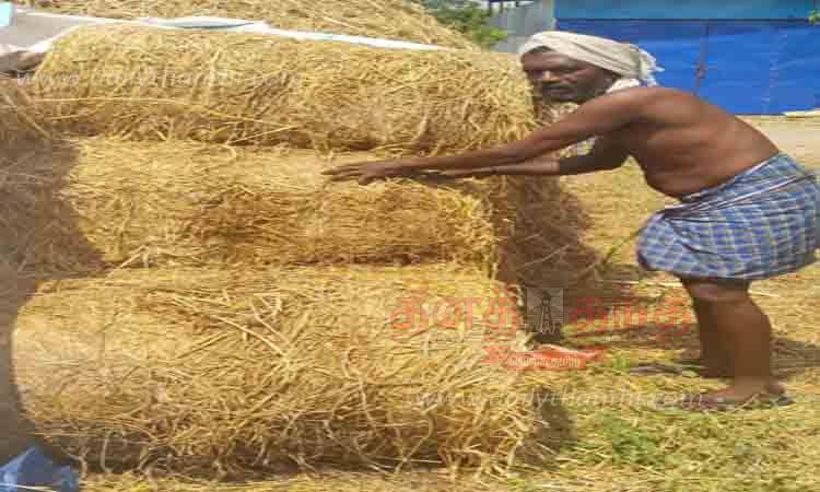 வைக்கோல் ஒரு கட்டு ரூ.130-க்கு விற்பனை வைக்கோல் ஒரு கட்டு ரூ.130-க்கு விற்பனை