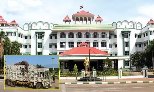 அரிக்கொம்பன் யானை வழக்கு: சிறப்பு அமர்வுக்கு மாற்றி ஐகோர்ட்டு மதுரைக்கிளை உத்தரவு