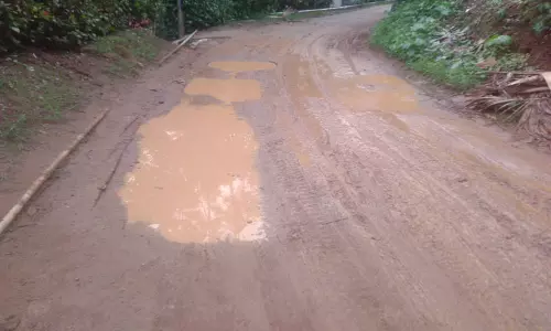 பந்தலூர் பகுதியில் மழை:சேறும்-சகதியுமாக மாறிய சாலையால் விபத்து அபாயம்-உரிய நடவடிக்கை எடுக்க பொதுமக்கள் வலியுறுத்தல்