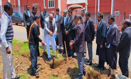 சுற்றுச்சூழல் தினத்தையொட்டி கோர்ட்டு பகுதியில் பிளாஸ்டிக் கழிவுகள் அகற்றம்-மாவட்ட நீதிபதி பங்கேற்பு