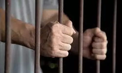 லாரி டிரைவரை துப்பாக்கியை காட்டி மிரட்டிய 2 வாலிபர்கள் கைது