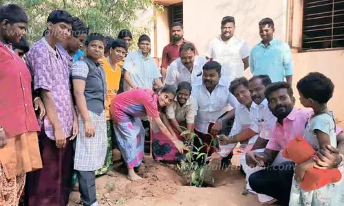 மரக்கன்றுகள் நடும் விழா