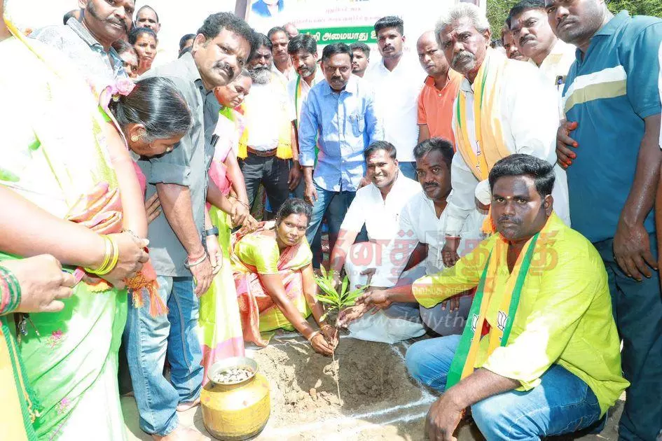 குளம் தூர்வாரும் பணி குளம் தூர்வாரும் பணி