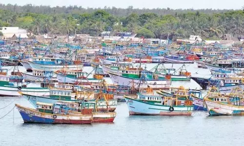 நெல்லை மாவட்ட மீனவர்கள் இன்று முதல் வரும் 9ம் தேதி வரை கடலுக்கு மீன்பிடிக்க செல்ல வேண்டாம் - மீன்வளத்துறை நெல்லை மாவட்ட மீனவர்கள் இன்று முதல் வரும் 9ம் தேதி வரை கடலுக்கு மீன்பிடிக்க செல்ல வேண்டாம் - மீன்வளத்துறை