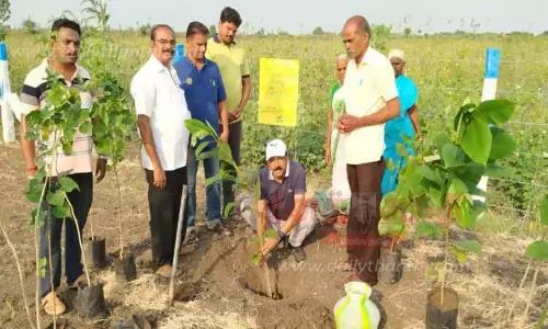 மரக்கன்று நடும் நிகழ்ச்சி