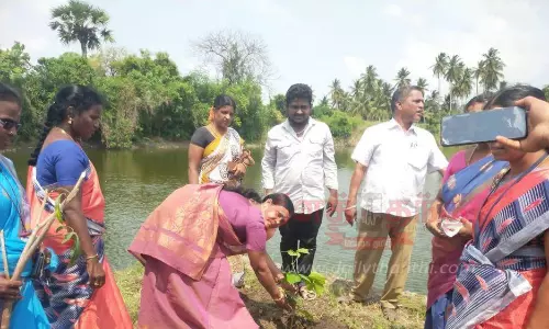 உலக சுற்றுச்சூழல் தின விழா உலக சுற்றுச்சூழல் தின விழா
