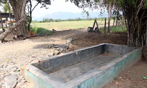 கால்நடைகளை ஏமாற்றும் தண்ணீர் தொட்டி...