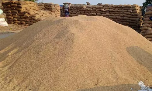 மாமந்தூர் நெல் கொள்முதல் நிலையத்தில் 5 ஆயிரத்துக்கும் மேற்பட்ட நெல் மூட்டைகள் தேக்கம் அதிகாரிகள் நடவடிக்கை எடுக்கவில்லை என விவசாயிகள் புகார்