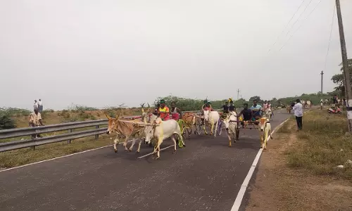 கருப்பூரில் மாட்டுவண்டி பந்தயம் கருப்பூரில் மாட்டுவண்டி பந்தயம்