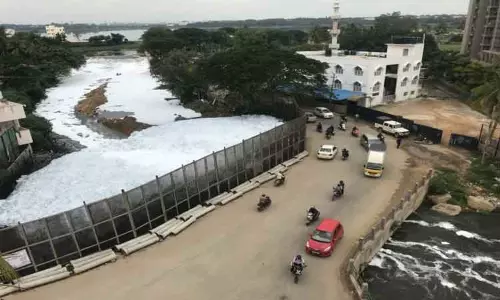 பெல்லந்தூர் ஏரியில் வெள்ளை நுரை உருவாக காரணம் என்ன?; இந்திய அறிவியல் கழகம் அறிக்கையில் பரபரப்பு தகவல்கள்