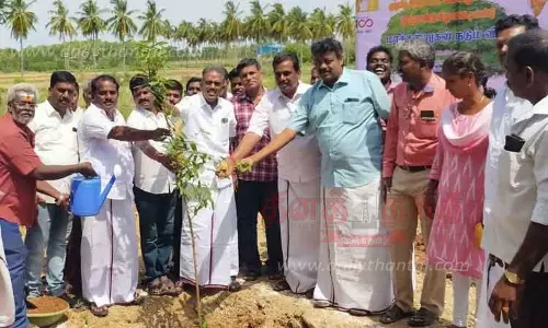 கருணாநிதி பிறந்த நாளை முன்னிட்டு மரக்கன்றுகள் நடும் நிகழ்ச்சி